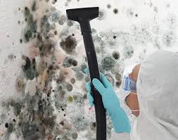 Best Mold Odor Removal Services  in Pahala, HI